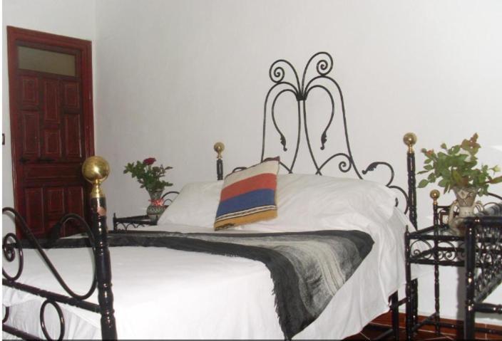 Hostel The Atlas Lion Tangier Exterior photo
